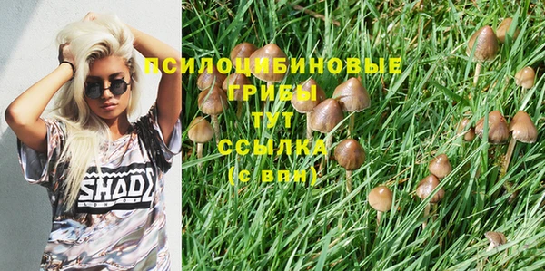 не бодяженный Саяногорск