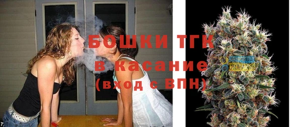 крисы Сатка