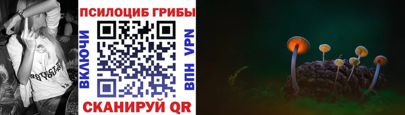Галлюциногенные грибы мицелий  Выкса 